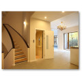 XIWEI Brand Effective Indoor Villa Elevator With Manually Operated Door